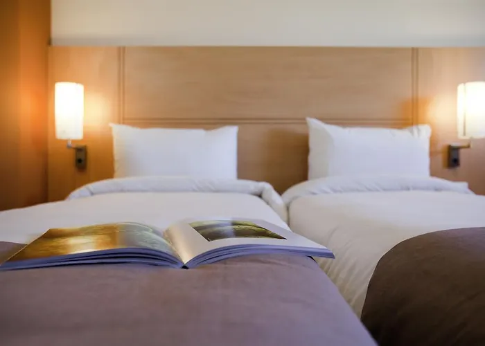 Hotel Ibis Les Moulineaux 